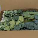 150 Pcs 7 Kinds Mixed Artificial Eucalyptus Leaves Stems Bulk, Fake Greenery Plants Faux Silver Dollar Eucalyptus Leaves for Wedding Vase Bouquet Floral Arrangement Centerpiece Home Decor
