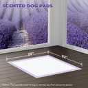 CROCI 22x22in Puppy Pads with Adhesive Tabs, Dog Pee Pads Absorbs Up to 3 Cups Potty Training, Disposable (50 Counts)