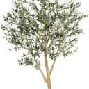 Realead 8ft Faux Olive Tree, Large Realistic Olive Trees Artificial Indoor, Tall Fake Olive Tree with Natural Wood Trunk and Lifelike Fruits for Home Office Decor