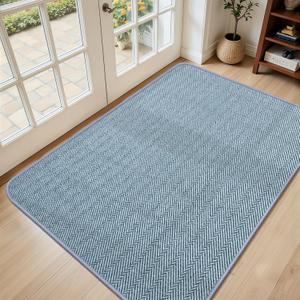 Ultra Thin Door Mat Indoor Entrance 36"x59", Low-Profile Indoor Door Mat, Non Slip Entry Mats Rubber Backing Unique Herringbone Design Inside Doormat Dirt Trapper Entryway Mats, Light Blue