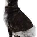 Amazon Basics Absorbent, Leakproof Male Dog Wrap Disposable Diapers, Small, Pack of 50, White