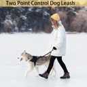 Two Point Control Dog Leash,No Tangle Dog Training Leashes,4ft Black Dog Leash Converts to Single Training Leashes for Medium Large Dogs