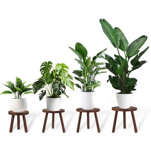 4-Pack Wood Plant Stands Indoor Outdoor, Heavy Duty 6-12 Inch Flower Pot Holder Stand, Natural Camphor Pine Wood Modern Large Plant Stool for Multiple Potted Plants, Home Office Garden & Bar Decor