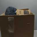 Active Pets Premium Medium Donut Dog Bed, Fits Up to 45 lbs, Removable Cover & Washable Cushion, Plush Long Pile Faux Fur Fabric, Portable Beige Pet Bed Furniture for Puppies Adult Canines & Cats (Dark Grey)