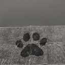 Buganda Dog Door Mat for Muddy Paws, Absorbent Dirt Trapper Non Slip Indoor Doormats, Washable Low-Profile Mat for Mud Dogs, Entryway Carpet for Inside Floor (30x20 Inches, Grey)