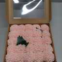 Ling's moment Blush Dahlia Foam Artificial Flowers Real Touch Faux Fake Flower for Home Decor Graduation Baby Shower Decorations Outdoors Party Favors Wedding Gifts Centerpieces Arrangements 25pcs