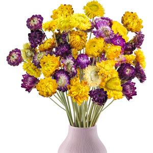 Phliofd 40PCS Dried Daisy Mums Flowers, 16.9in Dried Daisies Chrysanthemum Gerbera Dried Orange Yellow Flowers Arrangements for Vase Home Farmhouse Wedding DIY Table Centerpiece Dcor