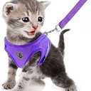 FEimaX Dog Harness and Leash Set for Walking, Soft Mesh Adjustable Easy Control Lightweight Cat Vest Harnesses with Reflective Strips, Escape Proof Small Dogs Cats Vests, Size: XXS