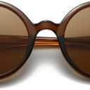 Retro Round Sunglasses for Men Womens Vintage Trendy Circle Sunglasses Costume Cosplay Sun Glasses UV400 Protection (Brown/Tea)