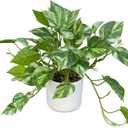 Artificial Plants Faux Pothos with Plastic White Pot Artificial Potted Plant for Home Office Bedroom Indoor Outdoor Decor 1 Pack(Light Green)