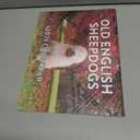 Old English Sheepdog Calendar 2026 Monthly Wall Calender 12 Month | American Made In The USA