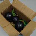 Artificial Plants Indoor Set of 3, Mini Potted Fake Plants for Home Decoration, Office Desk, Bathroom Shelf Decor, Small Faux Greenery Artificial Flower, Gift Idea Set