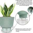 6-Inch Self-Watering Plant Pot with Visual Reservoir and Drainage Hole, Set of 5, Plastic Flower Pots, Planting Pot for Indoor Outdoor Plants (Frosted Mixed Color)