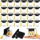 Teenyyou 24 Pcs Gold 2026 Graduation Cap Candy Jars Graduation Party Favors Candy Containers Bulk Grad Cap Box Jars Container with Tassels for DIY Table Party Supply Gifts