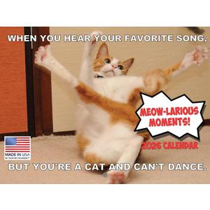 Funny Cat Calendar 2026 Funny Gift Cats Monthly Wall Calender 12 Month | American Made In The USA