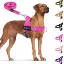 SlowTon No Pull Dog Harness - Heavy Duty Dog Harness and Leash Set for Medium Large Dogs, Reflective Tactical Harness with Soft Padded and Front Clip for Easy Walk and Training (Fuchsia L)