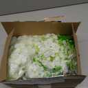 Artificial Wisteria Hanging Flowers Fake Wisteria Flower Garland Silk Vines Rattan Decor for Home Wedding Arch Wall Garden Greenery Bedroom Outdoor Office Party Decoration (36, White)