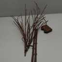 Lighted Christmas Tree Branches, 30IN 100LED Artificial Brown Twig Branch with Warm White Lights, Timer & Battery Operated, Waterproof for Indoor Outdoor Holiday Xmas Office Bedroom Party Decorations