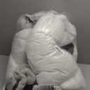 BurgeonNest Dog Car Seat for Medium/Large Dogs Under 55 lbs, Soft Pet Car Travel Home Bed, Fully Detachable and Washable Booster Carseats with Storage Pockets and ClipOn Leash Portable Carrier,Black