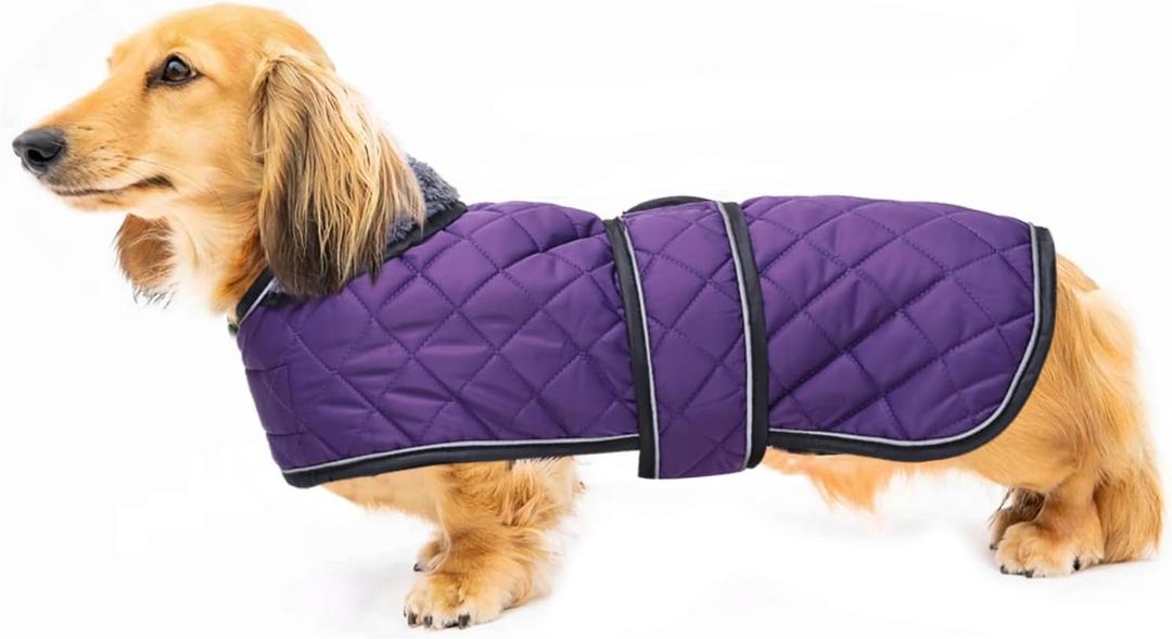 Warm Thermal Quilted Dachshund Coat,Dog Winter Coat with Warm Fleece Lining,Outdoor Dog Apparel with Adjustable Bands for Medium,Large Dog-Purple-L