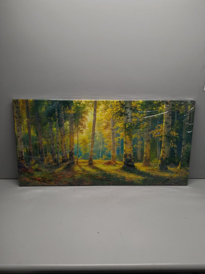 Arts-Green View White Birch Forest Canvas Painting Wall Art Decor Fall Artwork Modern Green Nature Artwork for Living Room Kitchen Bedroom Bathroom Office and Hallway Wall Decor 40" x 20" Inch