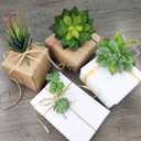 Supla 5 Pcs Assorted Artificial Succulents Plants Unpotted Small Green Cactus Echeveria Picks Fake Succulents Bulk for Succulent Garden Centerpiece Wreath Floral Arrangement Indoor Outdoor Home Dcor