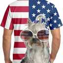 Mens American Flag Baseball Jerseys Independence Day Red White Blue 4th of July 250th Anniversary USA Patriotic Shirt (L)