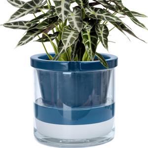 D'vine Dev Self-Watering Blue Terracotta Planter Pot, 10 in, 37-X-D-4 | Terracotta & Glass Design, Clear Water Reservoir, Visible Water Level, Easy Plant Care, Ideal for Busy Plant Lovers