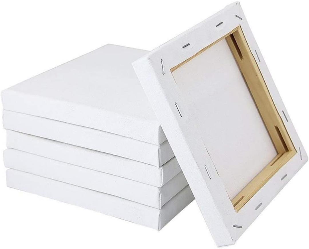 4 Pack Artist Blank Canvas, 20 x 20cm Stretched Canvas Frames Panel Board, Square Art Board for Acrylic Oil Painting