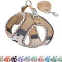 AIITLE Teacup Puppy Harness with Leash - Adjustable Soft Vest with Magic Tape & Reflective Safety Strips, Easy-Put-On for Poodles, Pomeranians - Gym, Hiking, Travel (Brown-Beige, S)
