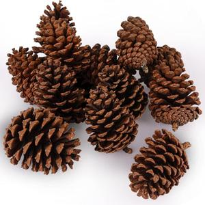 JOHOUSE 12 Large Natural Pine Cones (3.5"5"), Rustic Pinecone Ornaments for Christmas Tree, Wreath Making, Vase/Bowl Filler Fall & Winter Decor