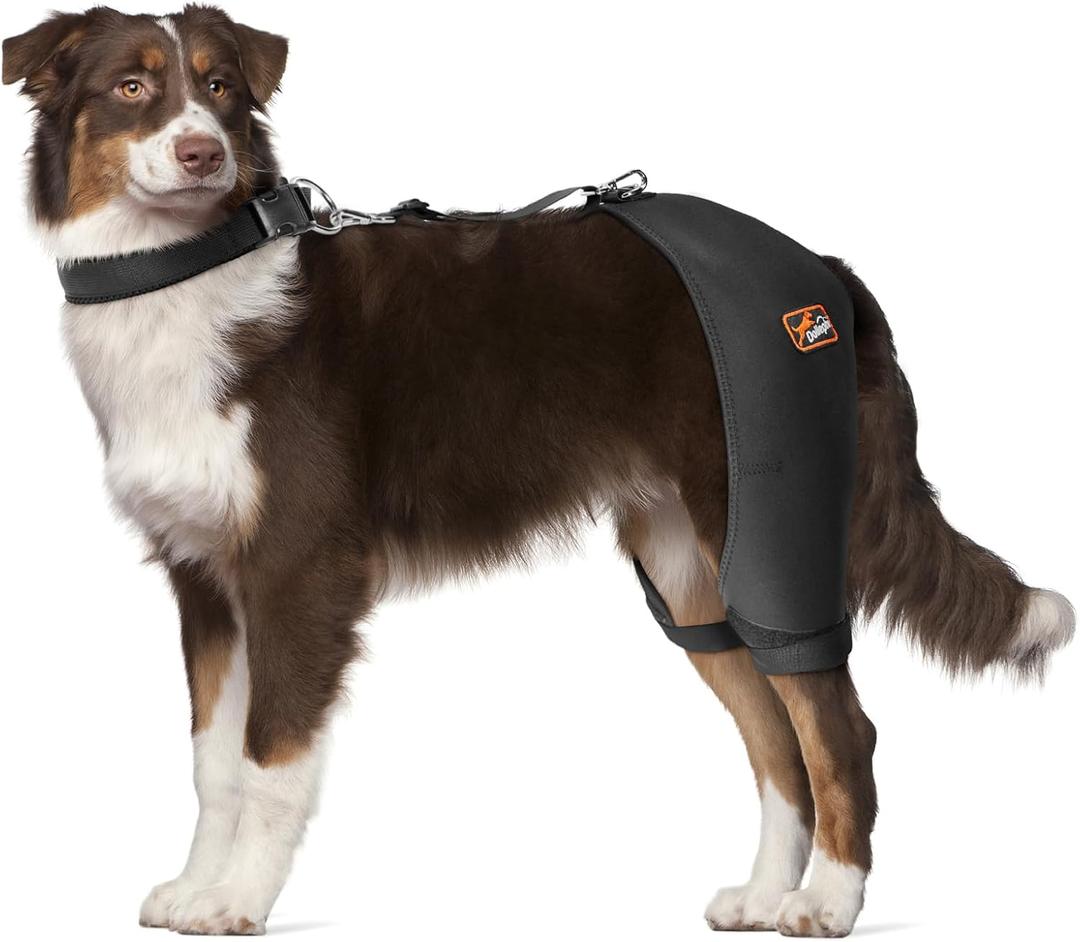 Dog Hip Brace with Hot/Cold Compress, Support for Hip Dysplasia, Arthritis, Back Leg limping, Prevents Hip Joint Issues, Reduce Hip Pain etc(Male Dog, XL) 