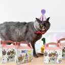 2 x 10Pcs Cat Party Favors Treat Boxes Kitten Theme Gift Boxes Goodies Boxes for Kids Birthday Party Supplies Baby Shower Cat Theme Party Decorations (colorful)