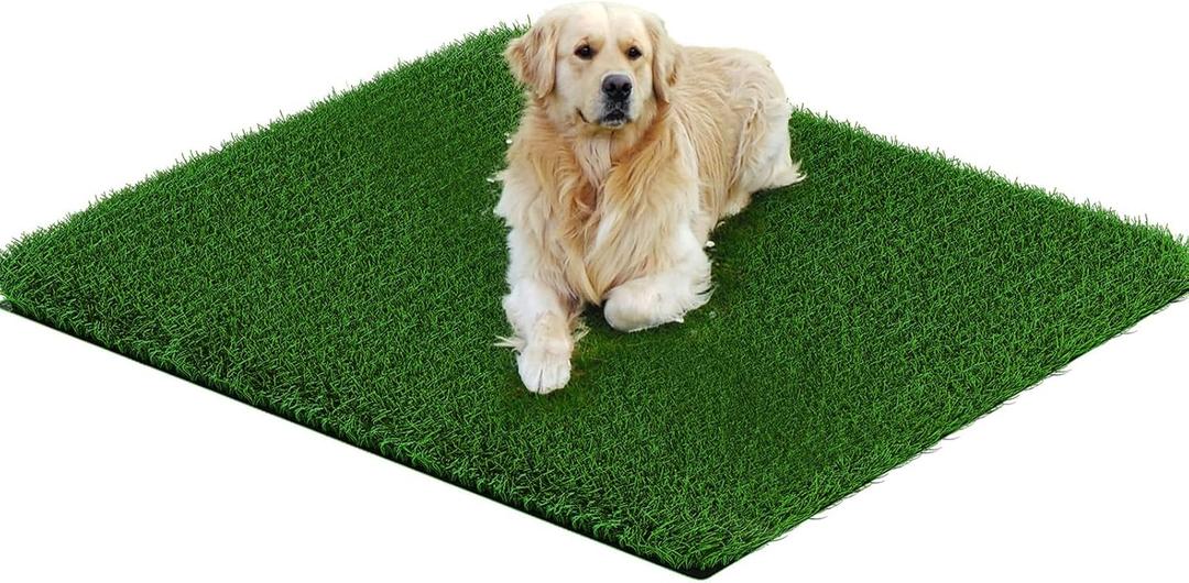 Perfect GrassPad for Dogs - 33 x 33 Inch Real Grass, High Absorbency, Easy Clean for Indoor/Outdoor, Ideal for Potty Training