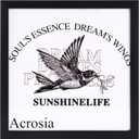 13"X13" T-Shirt Frame for Wall Or Tabletop Stand Display,Wood Tshirt Display Case Frames,Sports Jerseys Shadow Box for Shirts,Memorabilia,Picture (Black)