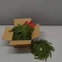 6 Pcs Christmas Candle Rings Wreaths, Christmas Kitchen Cabinet Wreaths, 7.87" Artificial Norfolk Pine Garland Wreath with Ribbon Bows, Candle Ring Holder for Table Centerpiece Window Chair Wall