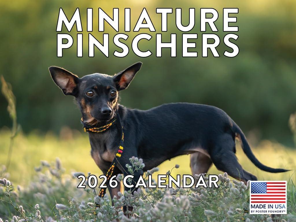 Miniature Pinscher Calendar 2026 Monthly Wall Calender 12 Month | American Made In The USA