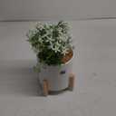 Potted Green Artificial Succulent with Wooden Stand