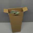 Sggvecsy 43 6Pcs Artificial Ficus Branches Faux Leaf Spray Green Eucalyptus Branches Artificial Greenery Stems Fake Ficus Twig Plants for Home Office Wedding Vase Filler Shop Decoration