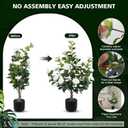 Hananona 2 Pcs Artificial Camellia Trees Faux Camellia Plant in Pot with Flowers Indoor Plants for Spring Home Decor Outdoor Porch Front Door Decor (White, M)