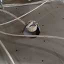 53.7'' Modern Crystal Big Large Chandeliers LED Dimmable Flush Mount Ceiling Chandeliers for Living Room High Ceiling Entrance Foyer Lobby Bedroom Gold