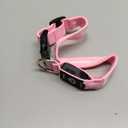 Super Bright LED Dog Collar - Fully Waterproof & Adjustable Glow Collar - USB-C Rechargeable for Night Walking, Safety - Flashing Lighted Collar for Dogs(Pink,M) (Medium (14.5" - 19.5" ))