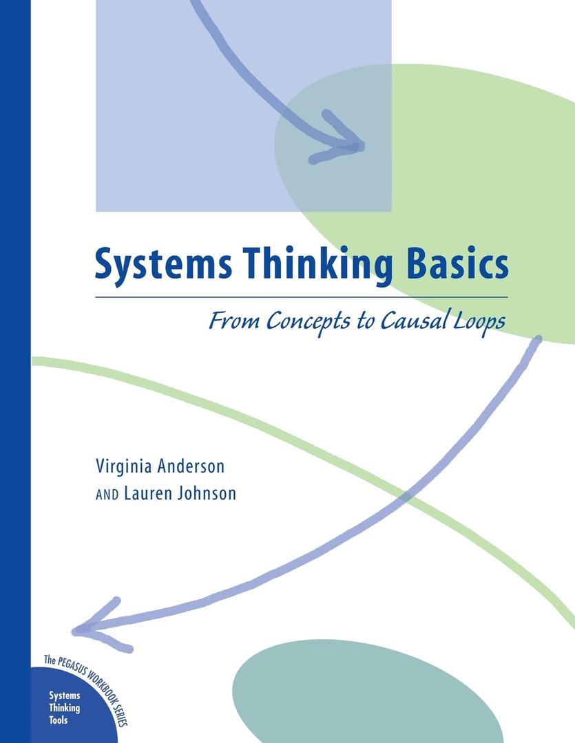 Systems Thinking Basics: From Concepts to Causal Loops, Paperback