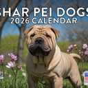 Shar Pei Calendar 2026 Wall 12 Month Monthly Shar Peis Gifts For Shar Pei Lovers Women Men Mom Dad | American Made In The USA