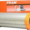 FRAM CA6843 Oval Air Filter