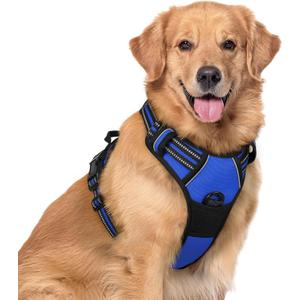 rabbitgoo Dog Harness No Pull with 2 Leash Clips, Adjustable Soft Padded, Reflective Oxford No Choke Pet Vest with Easy Control Handle for Large Dogs, Dazzling Blue, XL