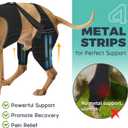 Dog Knee Brace for Torn Acl Hind Leg, Adjustable for Back Leg with 4 Stabilizers, Reduces Pain, Ligament Injuries & Luxating Patella for Small Medium Large Dogs, (Solid Black-M)