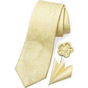 TaecMin Tie Set Ties for Men Paisley Neckties and Pocket Squares Set with Flower Lapel Pins for Weddings