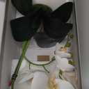 Forlaoers Tall 17" White Real Touch Orchid Artificial Flowers with Vase Fake Orchids Silk Floral for Home Decor Indoor Bathroom Decoration Potted Office Table Top Centerpieces Arrangements