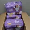 Amazon Basics Incontinence Underwear for Women, Protective, Disposable, Postpartum, Maximum Absorbency, Medium, Lavender, 60 Count (3 Packs of 20)